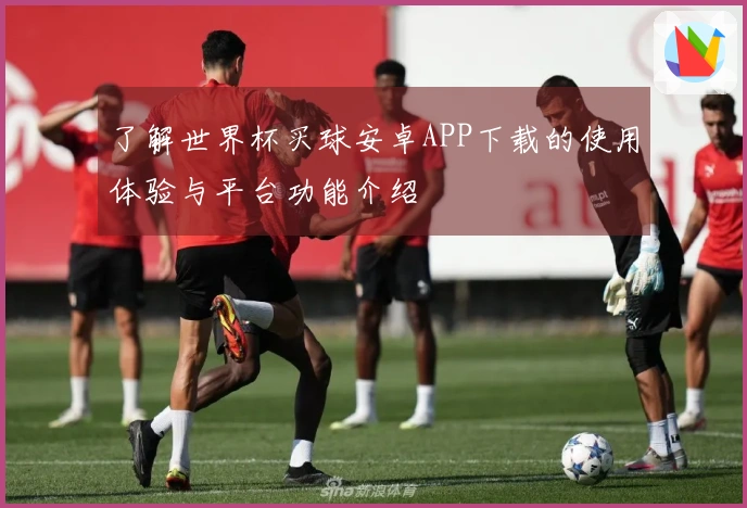 了解世界杯买球安卓APP下载的使用体验与平台功能介绍