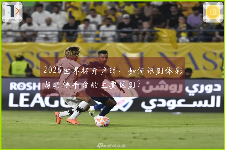 2026世界杯开户时，如何识别体彩与其他平台的主要区别？