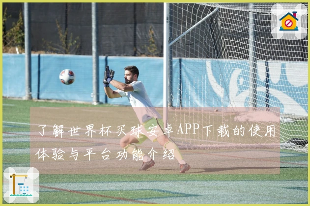 了解世界杯买球安卓APP下载的使用体验与平台功能介绍