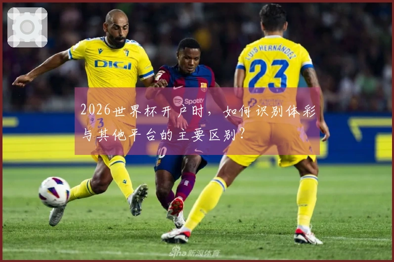 2026世界杯开户时，如何识别体彩与其他平台的主要区别？
