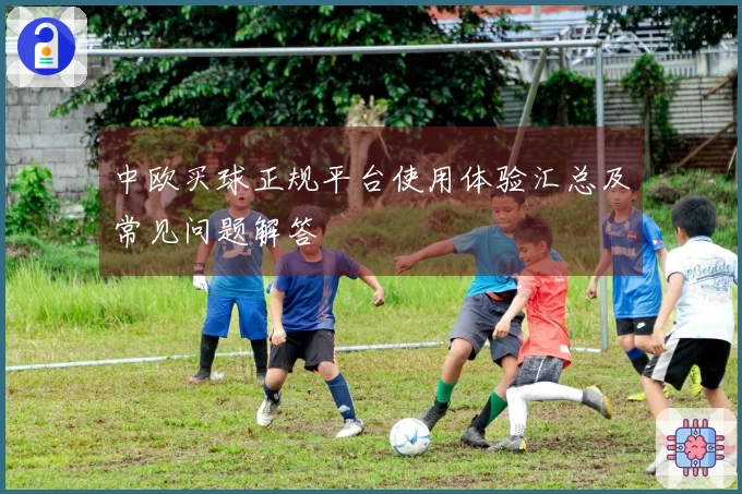 中欧买球正规平台使用体验汇总及常见问题解答