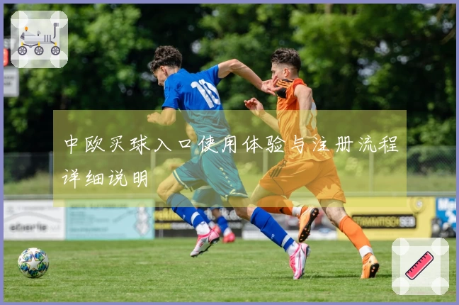 中欧买球入口使用体验与注册流程详细说明