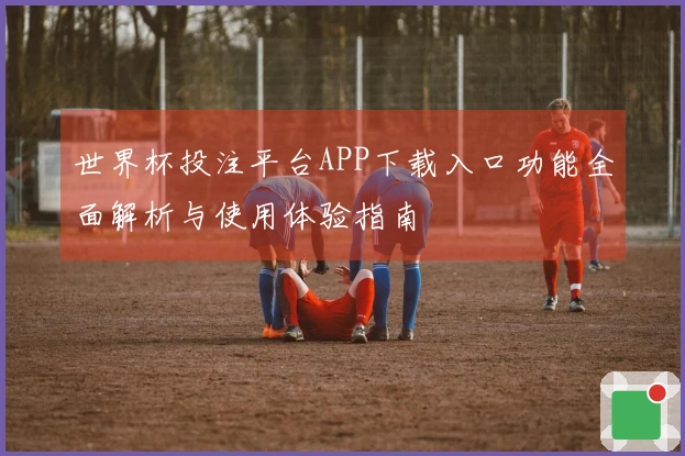 世界杯投注平台APP下载入口功能全面解析与使用体验指南
