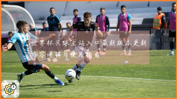 世界杯买球主站入口最新版本更新内容详解与使用指南