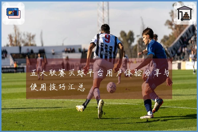 五大联赛买球平台用户体验分享与使用技巧汇总