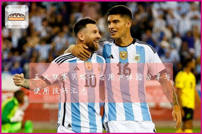 五大联赛买球平台用户体验分享与使用技巧汇总